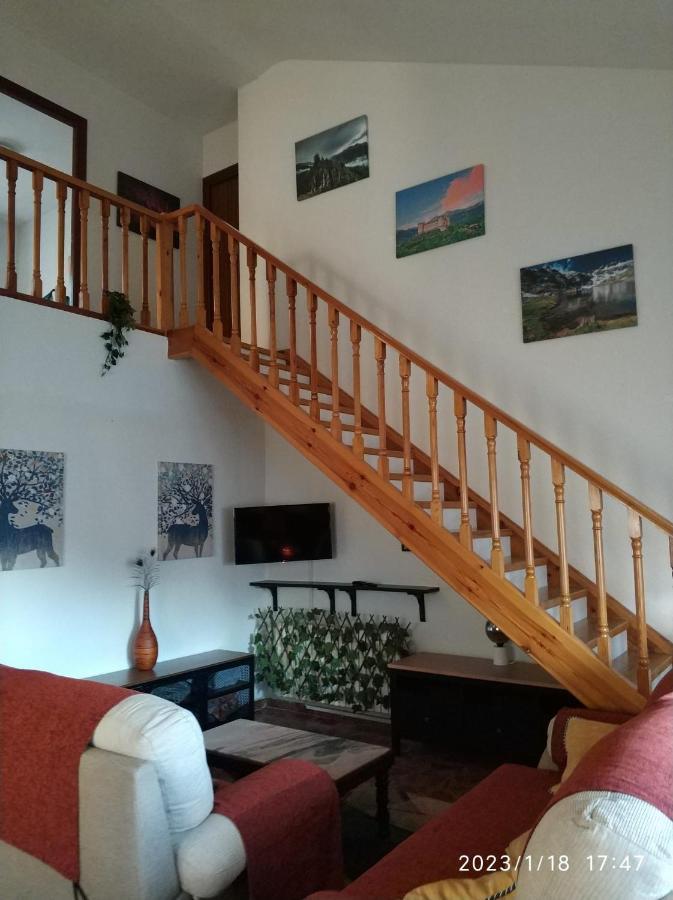 CasaviejaLa Lechuza Blanca别墅 外观 照片